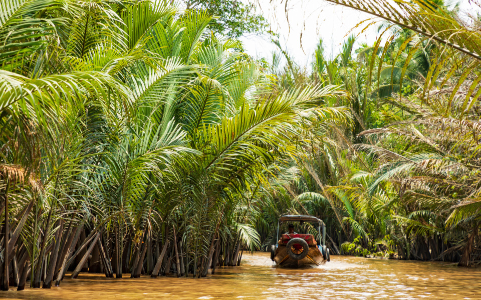 Boot zwischen Palmen auf dem Mekong-Fluss in Vietnam