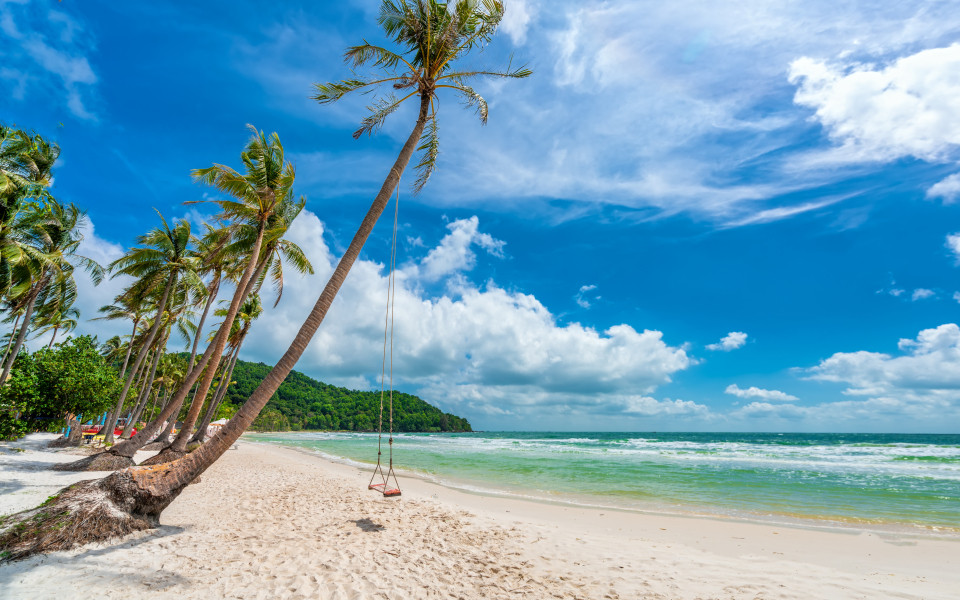 Küstenlandschaft mit tropischen Palmen am wunderschönen Sandstrand Sao auf der Insel Phu Quoc