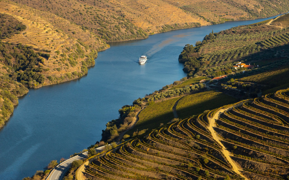 Kreuzfahrtschiff auf dem Fluss Douro sowie Weinberge und Landschaft des Alto Douro &ndash; UNESCO-Welterbe 