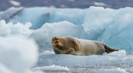 Spitzbergen